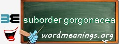 WordMeaning blackboard for suborder gorgonacea